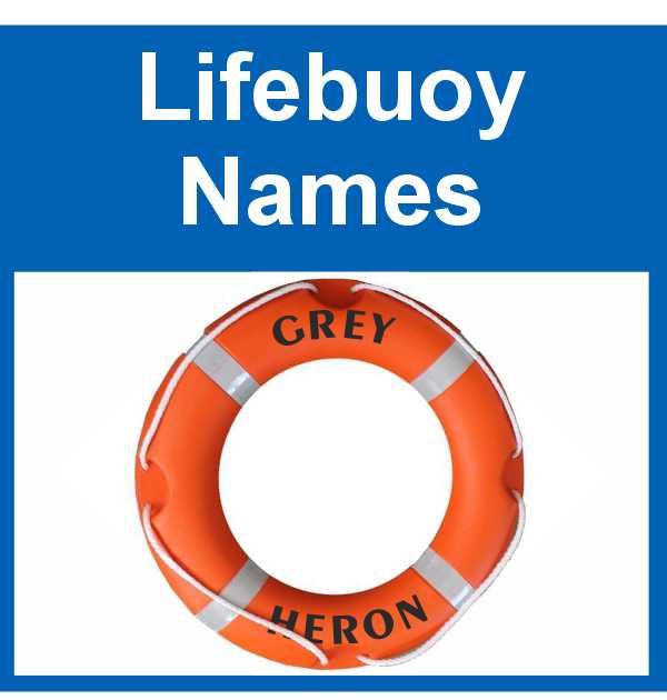Lifebuoy Lettering